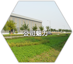 電話(huà)